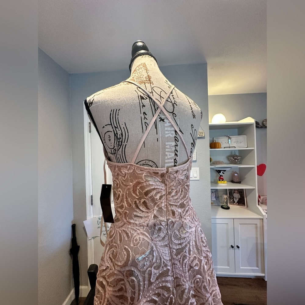 Betsy & Adam Lace & Sequin Formal Dress - Picture 5 of 12